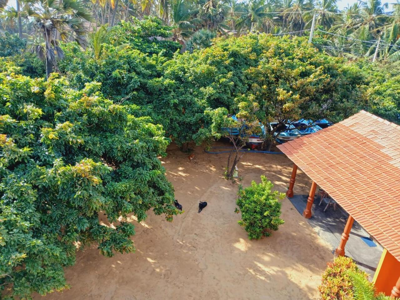 Dolphin Village Alankuda Luaran gambar