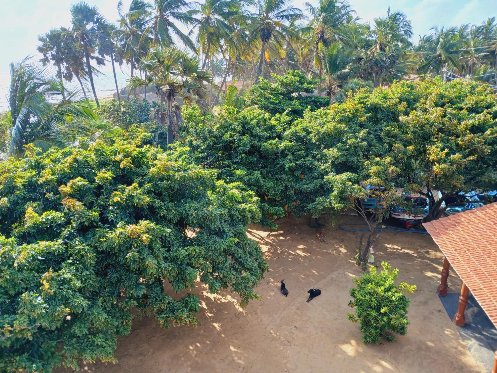 Dolphin Village Alankuda Luaran gambar