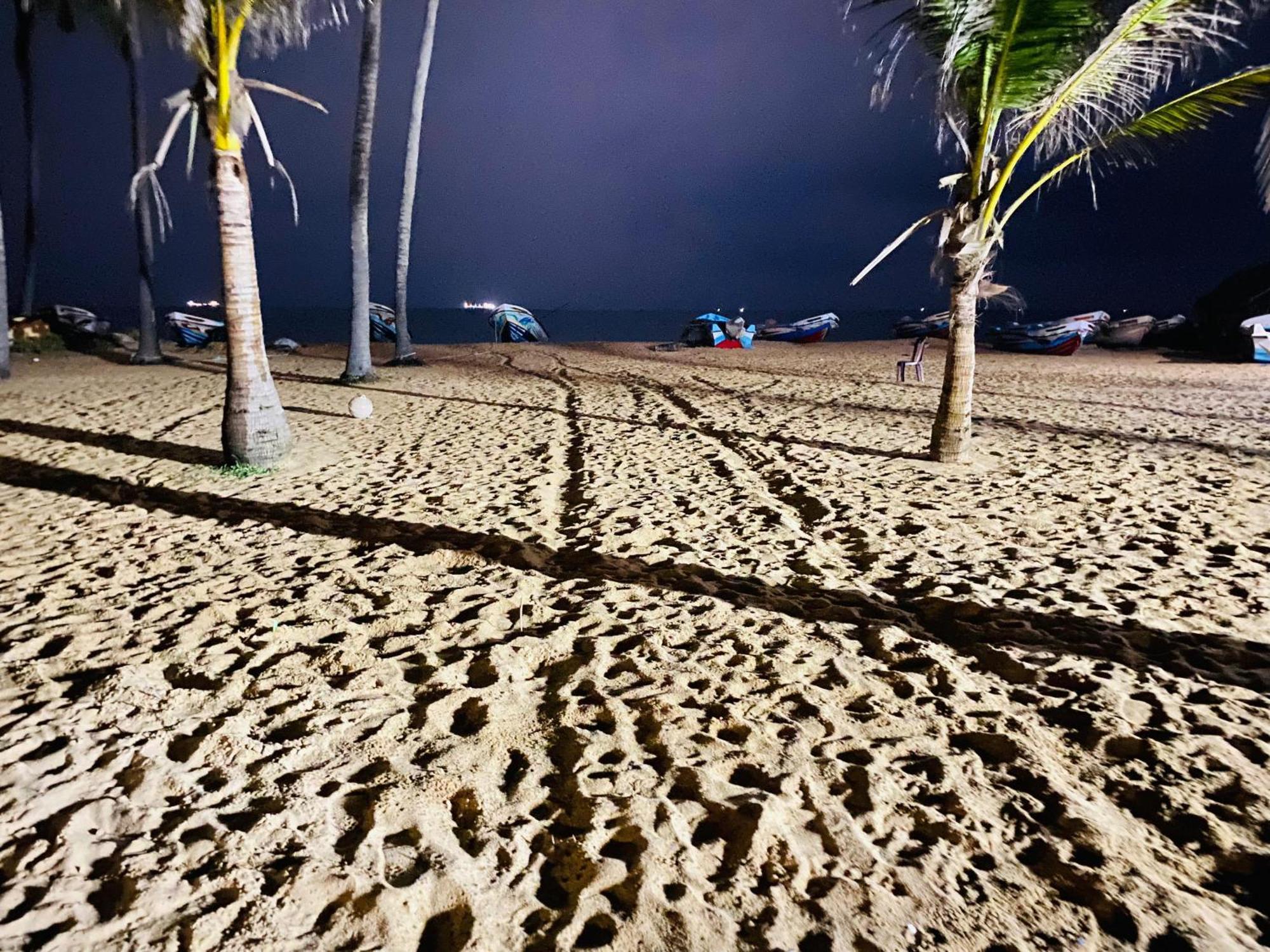 Dolphin Village Alankuda Luaran gambar